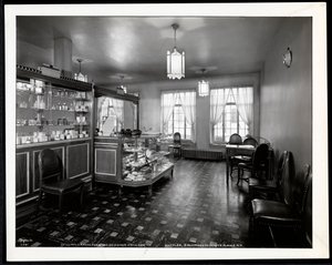 Interieur van de Charles of the Ritz schoonheidssalon bij B. Altman und Co., 1932 door Byron Company